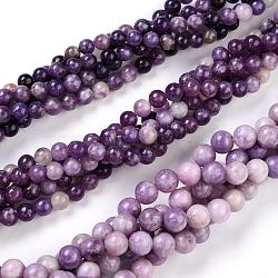 Natural Lepidolite/Purple Mica Stone Beads Strands, Round, 8~8.5mm, Hole: 1mm, about 48pcs/Strand, 15.47 inch(39.3cm)(G-K415-8mm)