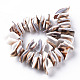 Natural Tiger Cowrie Shell Bead Strands(SSHEL-N304-103)-2