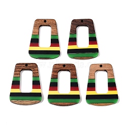 Jamaican Colour Epoxy Resin & Walnut Wood Pendants, Geometric Charms, Trapezoid, 37.5x27.5x3.5mm, Hole: 2mm(RESI-N039-122S)