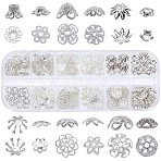 Iron & Brass & Alloy Bead Caps, Flower, Silver, 130x50x15mm, 240pcs/box(IFIN-SC0001-11)