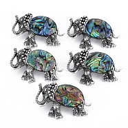 Elephant Alloy Rhinestone Brooch, Natural Paua Shell Lapel Pin with Loop for Backpack Clothes Pendant Jewelry, Cadmium Free & Lead Free, Antique Silver, Colorful, 29x46x14mm, Hole: 7x4mm, Pin: 0.7mm(PALLOY-N166-001-A01-RS)