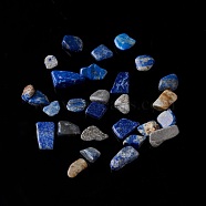 Natural Lapis Lazuli Chip Beads, No Hole/Undrilled, 5~10.5x5~7x2~4mm(G-M364-10)