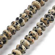 Natural Dalmatian Jasper Beads Strands, Saucer Beads, 8x5mm, Hole: 0.6mm, about 40pcs/strand, 7.76''(19.7cm)(G-P559-A01-01)