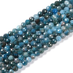 Natural Apatite Beads Strands, Faceted, Round, 4mm, Hole: 0.8mm, about 93pcs/strand, 15.16''(38.5cm)(G-N342-34)