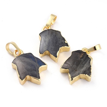 Natural Labradorite Pendants, with Golden Brass Findings, Leaf, 18~18.5x13x5~5.5mm, Hole: 5.5x3.5mm