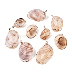 Electroplate Natural Spiral Shell Pendants, Conch Shell Charms with Golden Tone Iron Loops & Brass Edge Findings, Peru, 22~33.5x14~23x8.5~14.5mm, Hole: 1.4~1.8mm(SSHEL-Q100-35G)