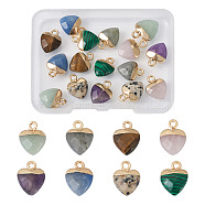 16Pcs 8 Styles Natural & Synthetic Gemstone Charms, with Light Gold Plated Iron Findings, Heart, 13.5x10.5x5~5.5mm, Hole: 1.6~1.8mm, 2pcs/style(G-FW0001-34)