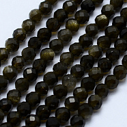 Natural Golden Sheen Obsidian Beads Strands, Faceted, Round, 3~3.5mm, Hole: 0.5mm, about 130~138pcs/strand, 15.7 inch(40cm)(G-J369-16-3mm)