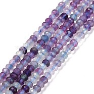 Natural Fluorite Beads Strands, Faceted, Rondelle, 3x2mm, Hole: 0.5mm, about 175pcs/strand, 15.16 inch(38.5cm)(G-E194-09)