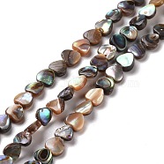 Natural Paua Shell Beads Strands, Heart, 4.5~5x5~5.5x2.5mm, Hole: 0.5mm, about 84~86pcs/strand, 15.75~15.94 inch(40~40.5cm)(SSHEL-G023-15)