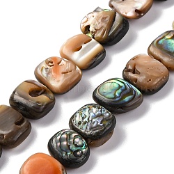 Natural Paua Shell Beads Strands, Rectangle, Colorful, 9~11x7~9x3.5~5mm, Hole: 0.5mm, about 44pcs/strand, 15.63''(39.7cm)(BSHE-B007-02)