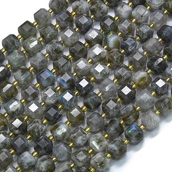 Natural Labradorite Beads Strands, with Seed Beads, Faceted Table Cut Cube, 8x8x8mm, Hole: 0.6mm, about 38pcs/strand, 15.35''(39cm)