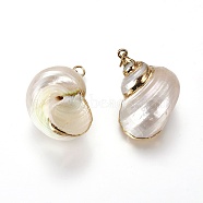 Electroplate Spiral Shell Pendants, with Iron Findings, Conch, Golden, 24~31x18~24x15~16mm, Hole: 2mm(BSHE-L036-02G)