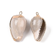 Natural Sea Shell Pendants, Shell Shaped Charms with Golden Tone Iron Loops, Dark Gray, 28~37x14~22x12~18mm, Hole: 1.6~1.8mm(SSHEL-N038-32)