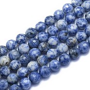 Natural Blue Spot Jasper Beads Strands, Round, Faceted(128 Facets), 10mm, Hole: 1.2mm, about 38pcs/strand, 15.55 inch(39.5cm)(G-K310-A22-10mm)
