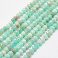 Natural Amazonite Bead Strands, Faceted, Round, 2.5~3mm, Hole: 1mm, about 146pcs/strand, 15.3 inch(G-P279-42-3mm)