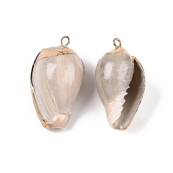 Natural Sea Shell Pendants, Shell Shaped Charms with Golden Tone Iron Loops, Dark Gray, 28~37x14~22x12~18mm, Hole: 1.6~1.8mm