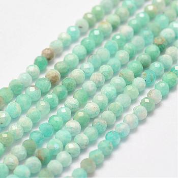 Natural Amazonite Bead Strands, Faceted, Round, 2.5~3mm, Hole: 1mm, about 146pcs/strand, 15.3 inch