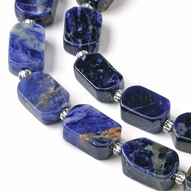Natural Sodalite Beads Strands(G-C098-A08-01)-4
