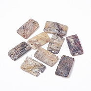 Natural Akoya Shell Links connectors, Rectangle, 17~18x10~12x1.5mm, Hole: 1mm(SHEL-S269-72)