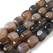 Natural Agate Beads Strands, Dyed & Heated, Cube, Slate Gray, 11~12x8~9.5x8~9.5mm, Hole: 1.2mm, about 16pcs/strand, 7.48~7.72''(19~19.6cm)(G-H295-A01-09)