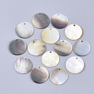Black Lip Shell Pendants, Flat Round, Black, 14x1~2mm, Hole: 1.4mm(SSHEL-S251-36B)