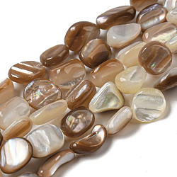 Natural Seashell Beads Strands, Nuggets, Sienna, 6.5~13x4.5~10x2~7.5mm, Hole: 0.7mm, about 45~48pcs/strand, 14.96~15.75''(38~40cm)(SSHEL-H072-14)