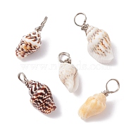 Natural Shell Pendants, with Copper Findings, Platinum, 18~23x7~10x6~7.5mm, Hole: 3.7mm(PALLOY-JF01164-01)