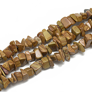 Natural Wood Lace Stone Beads Strands, Chip, 8~30x7~17x2~12mm, Hole: 1mm, about 110~150pcs/strand, 31.4 inch(G-S317-12)
