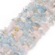 Natural Morganite Chip Beads Strands, 5~14x4~10mm, Hole: 1mm, about 15.5 inch~16.1 inch(G-E271-84)