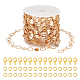 DIY Chain Bracelet Necklace Making Kit(DIY-NB0009-31)-1