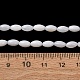 Natural Freshwater Shell Beads Strands(SH-CBA2978-11)-4