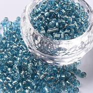 8/0 Glass Seed Beads, Silver Lined Round Hole, Round, Pale Turquoise, 8/0, 3mm, Hole: 1mm, about 1111pcs/50g, 50g/bag, 18bags/2pounds(SEED-US0003-3mm-23)