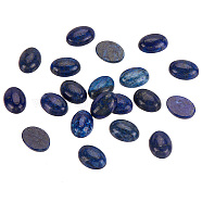 Elite Natural Lapis Lazuli Flat Back Cabochons, Dyed, Half Oval, 18x13mm, about 20pcs/box(G-PH0002-22B)