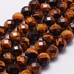 Natural Tiger Eye Beads Strands, Grade A, Faceted(64 Facets), Round Bead, 12mm, Hole: 1.2mm, 33pcs/strand, 15.7 inch(G-N0179-01-12mm)