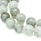 Natural Labradorite Beads Strands(G-G828-01-10mm)-3