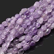 Natural Light Amethyst Nuggets Beads Strands, Tumbled Stone, 5~10x6~7x3~7mm, hole: 1mm, about 14.9 inch~15.7 inch(G-J335-11)