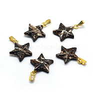 Shell Pendants, with Brass Findings, Star, Dyed, Golden, 18~19x14~15x3~5mm, Hole: 2x5mm(SSHEL-E564-13B-G)