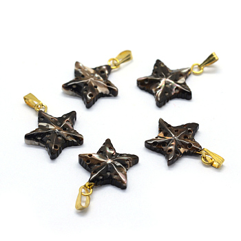 Shell Pendants, with Brass Findings, Star, Dyed, Golden, 18~19x14~15x3~5mm, Hole: 2x5mm
