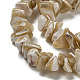 Natural Trochus Shell Beads Strands(SSHEL-H072-09)-3