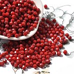 Baking Paint Glass Seed Beads, Bicone, Red, 4.5x4mm, Hole: 1.1mm, about 142pcs/10g(X1-SEED-A032-02A-09)