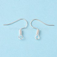 Jewelry Findings, Cadmium Free & Lead Free, Iron Earring Hooks, with Horizontal Loop, Silver Color Plated, 16x14mm(J079D051)