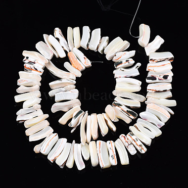 Natural Trochid Shell/Trochus Shell Beads Strands(SSHEL-T014-41)-2