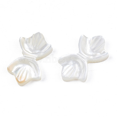 Perles de coquillage blanc naturel(SSHEL-S258-105A)-4