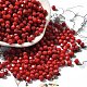 Baking Paint Glass Seed Beads(X1-SEED-A032-02A-09)-1