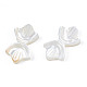 Natural White Shell Beads(SSHEL-S258-105A)-4