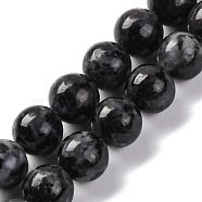 Natural Feldspar Beads Strands, Indigo Gabbro Round Beads, Round, 10mm, Hole: 1mm, about 38pcs/strand, 15.04''(38.2cm)(G-NH0033-A01-03)