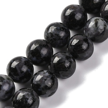 Natural Feldspar Beads Strands, Indigo Gabbro Round Beads, Round, 10mm, Hole: 1mm, about 38pcs/strand, 15.04''(38.2cm)