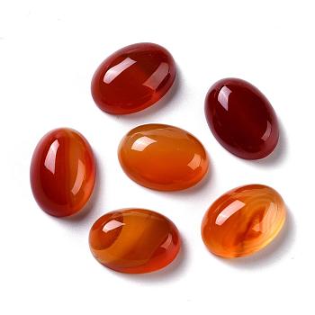 Oval Natural Carnelian Cabochons, 20x15x6mm