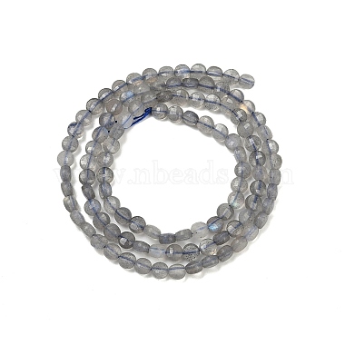 Natural Labradorite Beads Strands(G-R462-008-01)-5